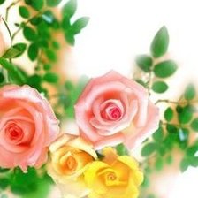 Схема вышивки «розы»