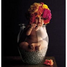 Цветок жизни