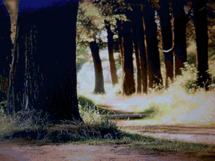 лес - лес, лето, природа, осень - предпросмотр