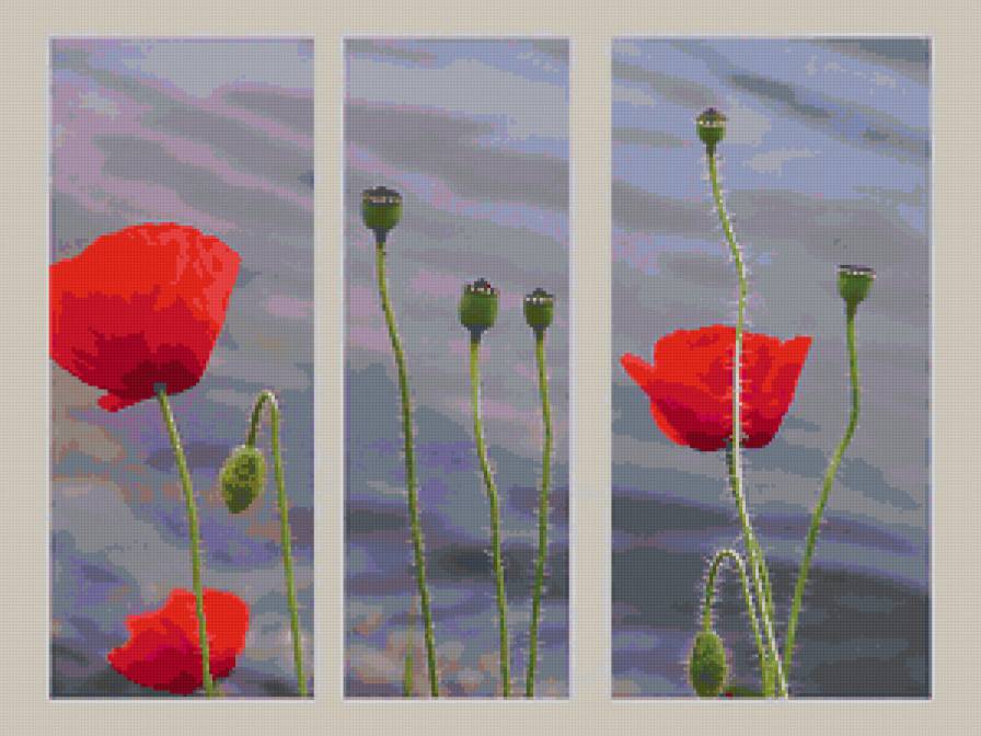 маки - цветы, триптих, маки, красное - предпросмотр