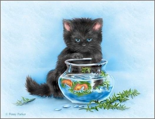 Котик - оригинал