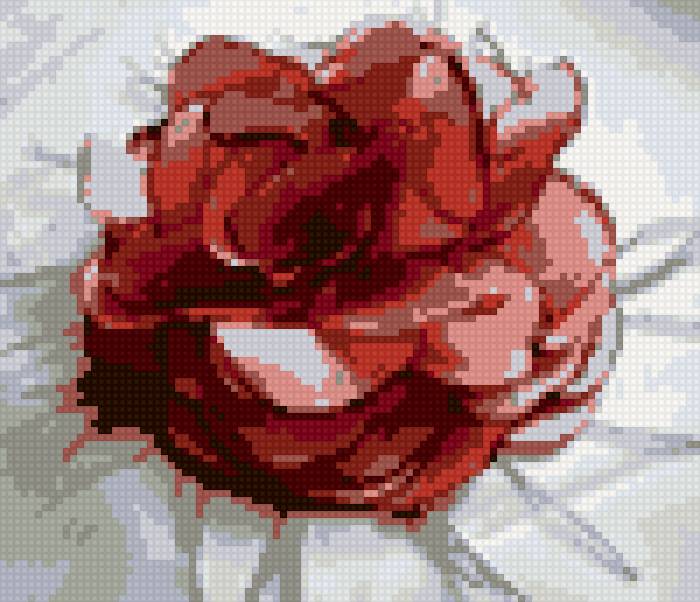 Роза - предпросмотр