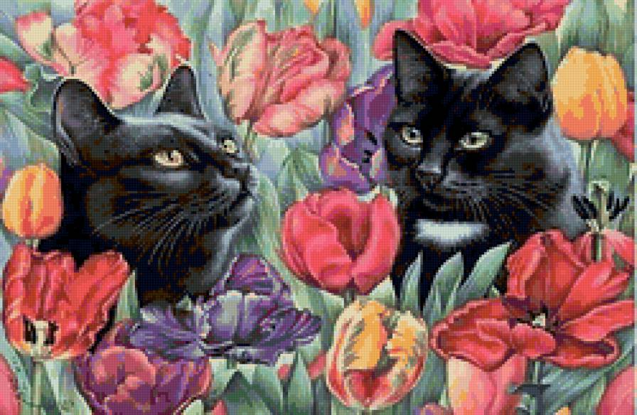 Кошки в цветах - красота, кошка, животные, природа, цветы - предпросмотр