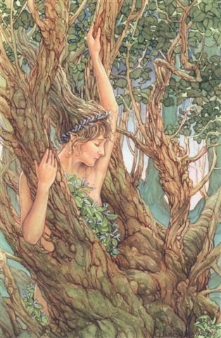 Дриада - красота, девушка, нимфа, мифология, фея, природа, фэнтези - оригинал