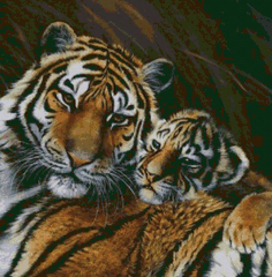 Тигрица с малышом - хищник, животные, тигренок, тигр - предпросмотр