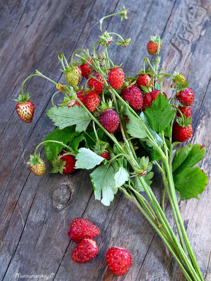 Земляника - натюрморт - оригинал
