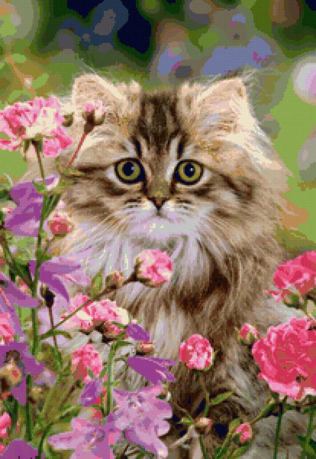 КОТЕНОК - кошки - предпросмотр