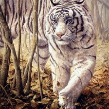 Оригинал схемы вышивки «Белый тигр» (№70159)