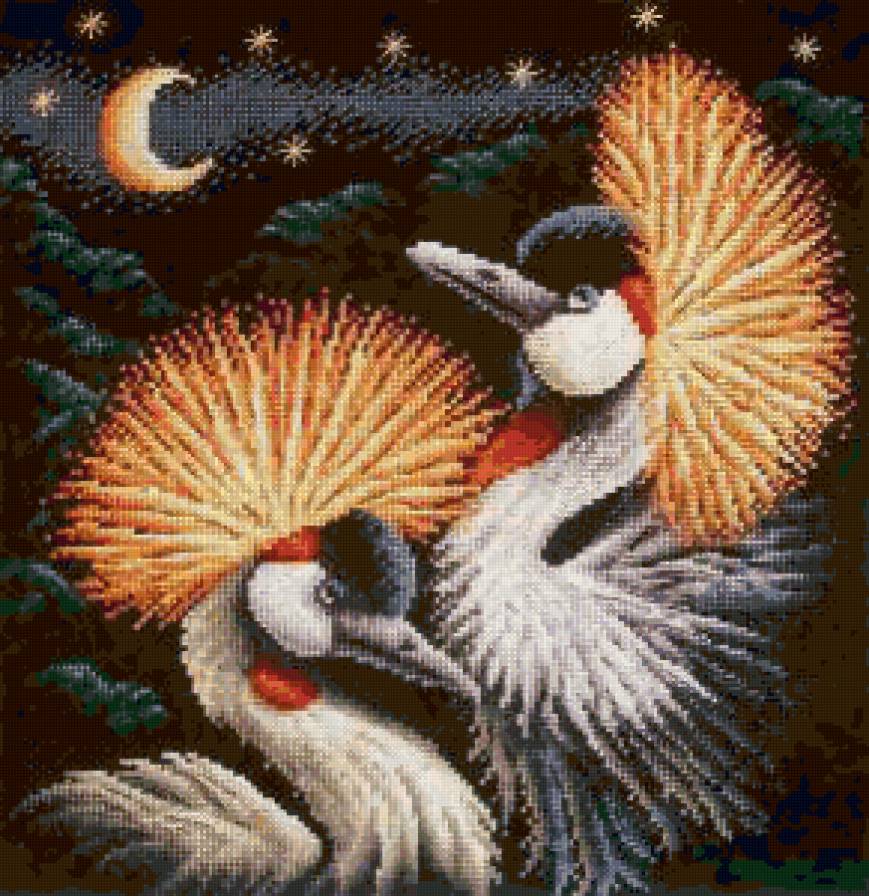 Серенада - ночь, птицы, луна - предпросмотр