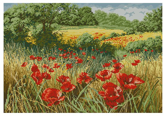 Природа - красота, цветы, природа, пейзаж - оригинал