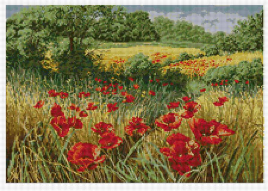 Природа - цветы, природа, пейзаж, красота - предпросмотр