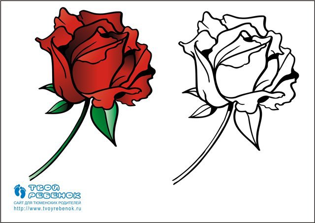 роза - букет, розы, цветы, природа - оригинал