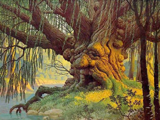 Старик - дерево, старик, разное, сказка, природа - оригинал