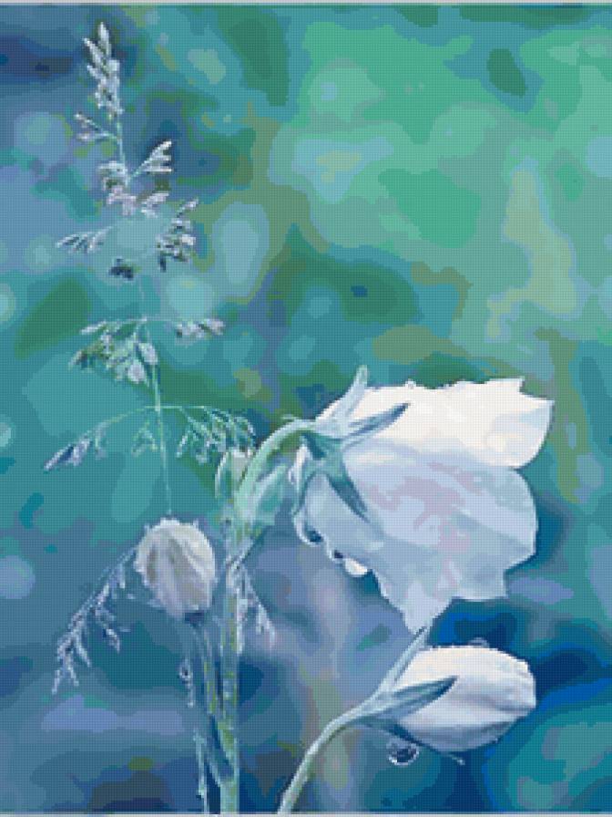 №70564 - предпросмотр