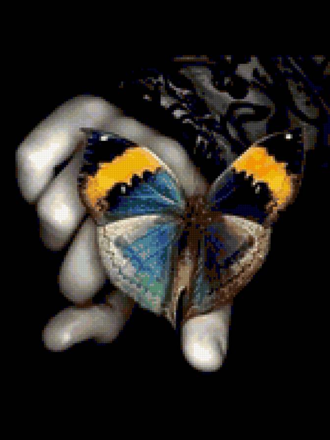 бабочка на руке - бабочки - предпросмотр