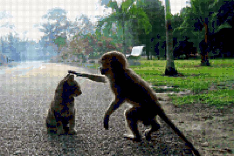 знакомство - животные - предпросмотр