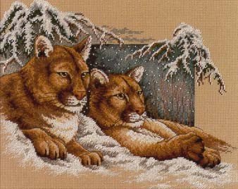 Большие кошки на снегу - зима, животные, хищник, пума, кошка, двое - оригинал