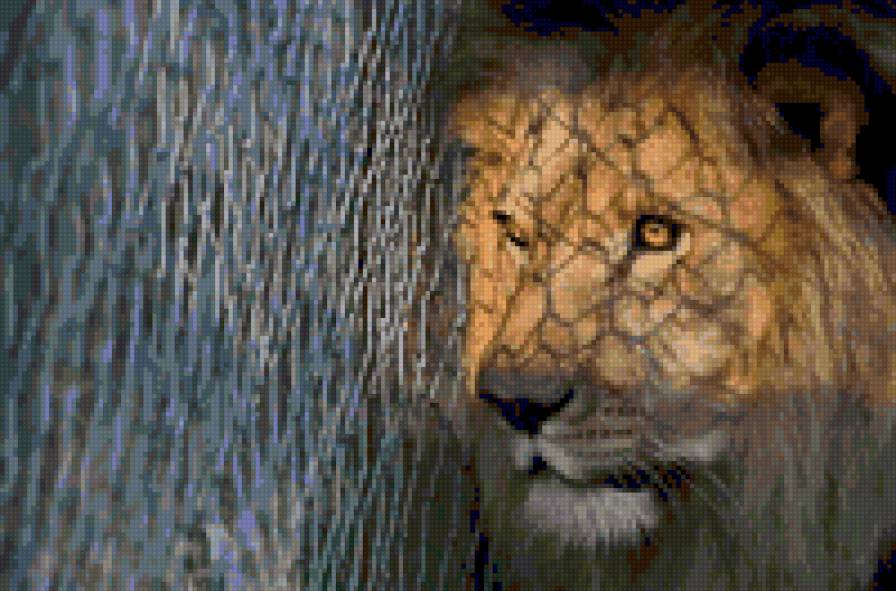 тоска - животные - предпросмотр