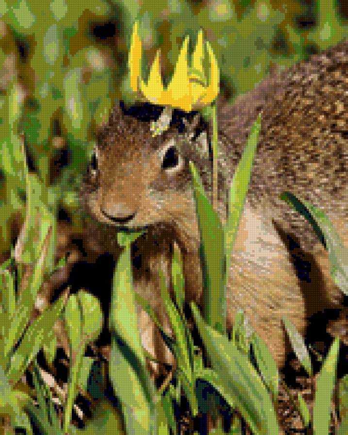 принцесса - животные - предпросмотр