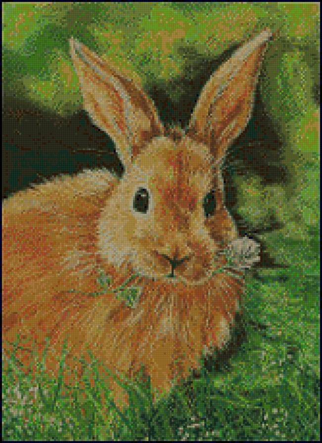 Зайчик - заяц, животные - предпросмотр