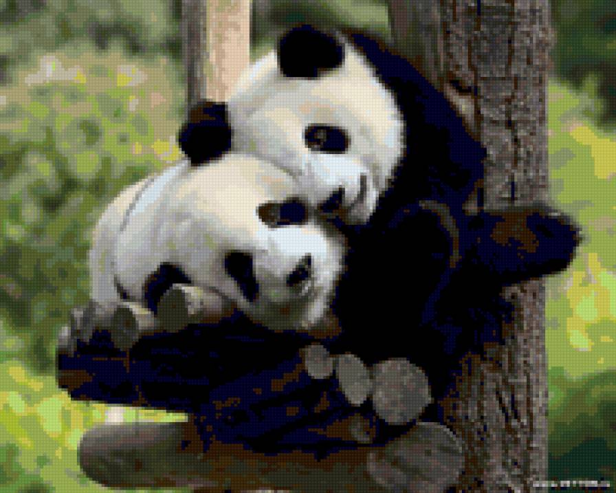 нежность - животные - предпросмотр