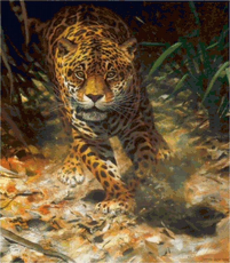 Леопард бегущий - леопард, хищник, животные - предпросмотр