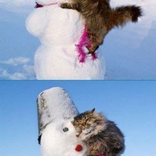 КотЭ и снеговик