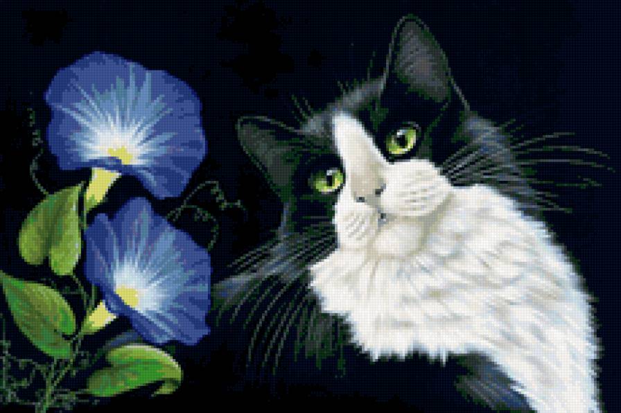 Котик и цветы - котенок, кошка, животные, цветы - предпросмотр