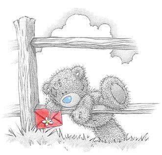 bear - оригинал