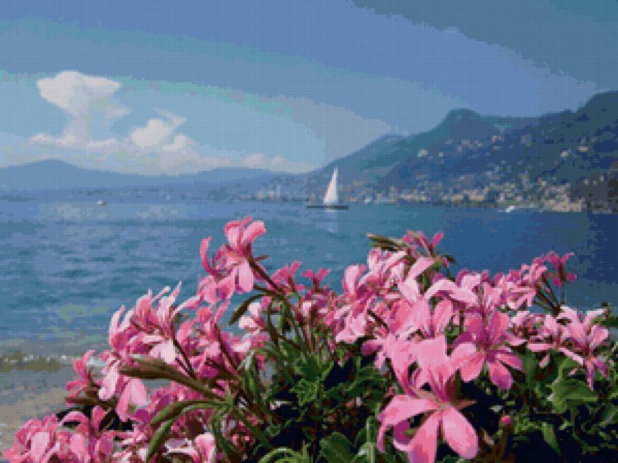 озеро - цветы, озеро, парусник - предпросмотр