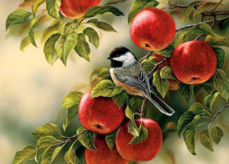 птичка на ветке - яблоки, птица - оригинал