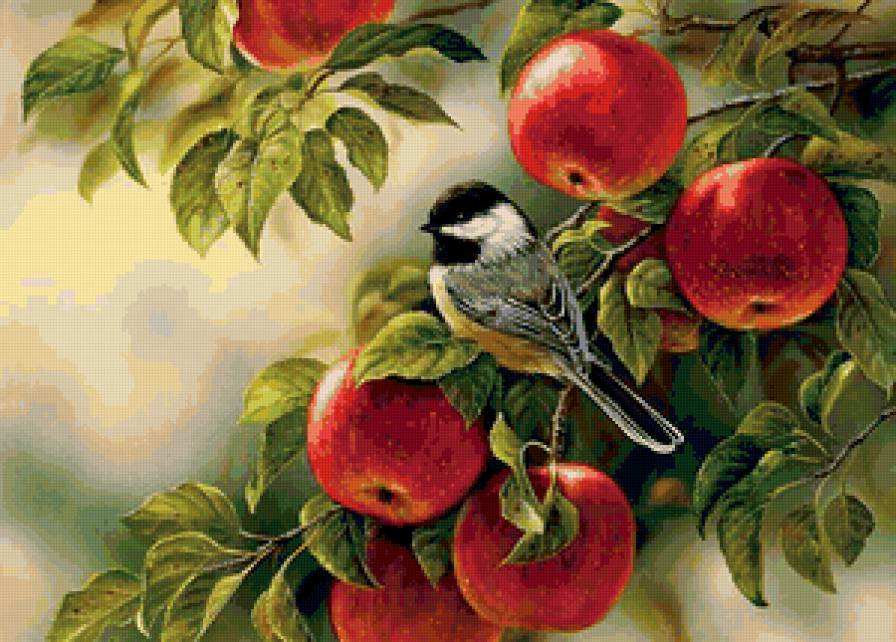 птичка на ветке - птица, яблоки - предпросмотр