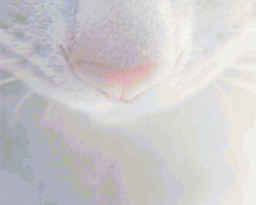 носик - кошка - предпросмотр