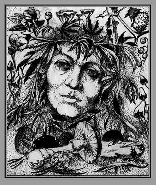 баба - род - лес, баба, женщина, род - оригинал