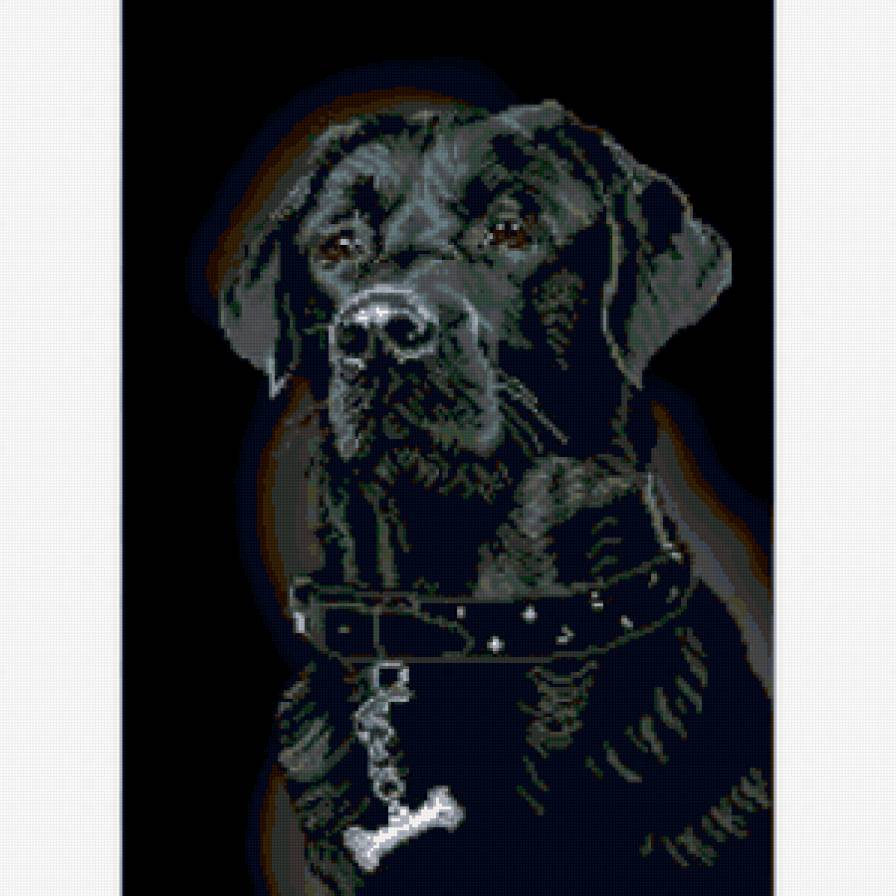 Лабрадор - собака, черный фон, на черном, лабрадор, живо - предпросмотр