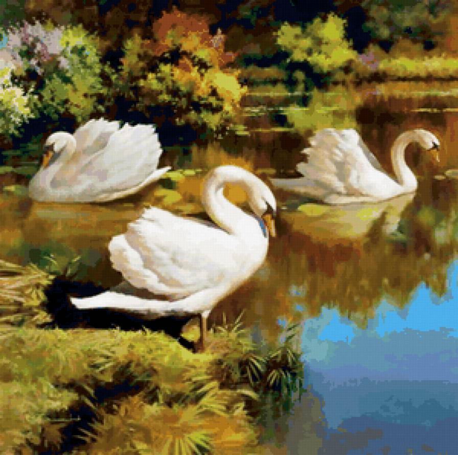 лебеди на озере - лебеди, озеро - предпросмотр