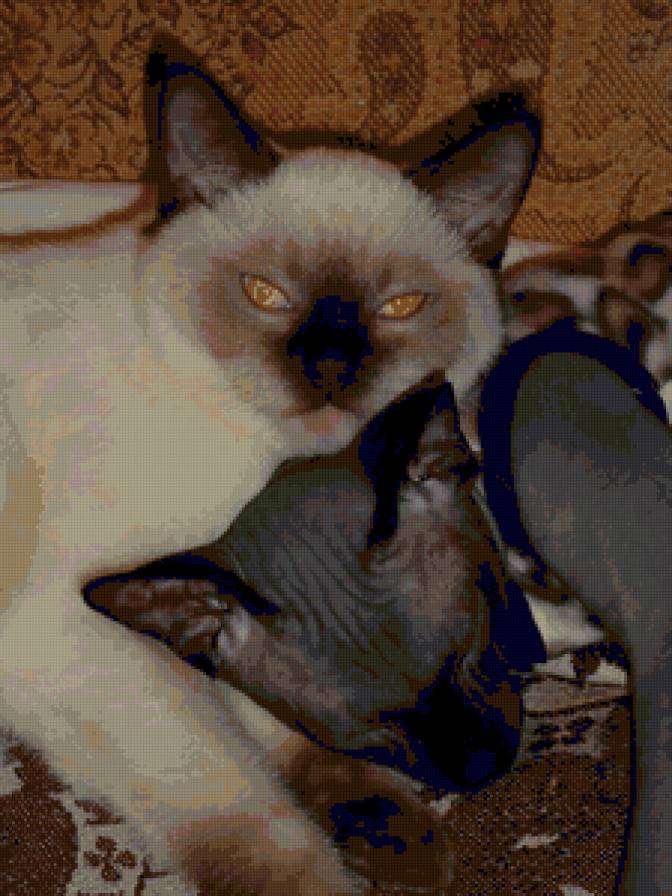 наши дети - предпросмотр