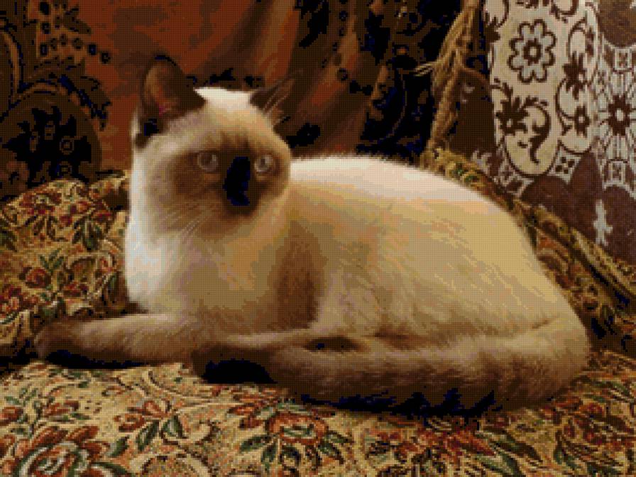 Беник - предпросмотр