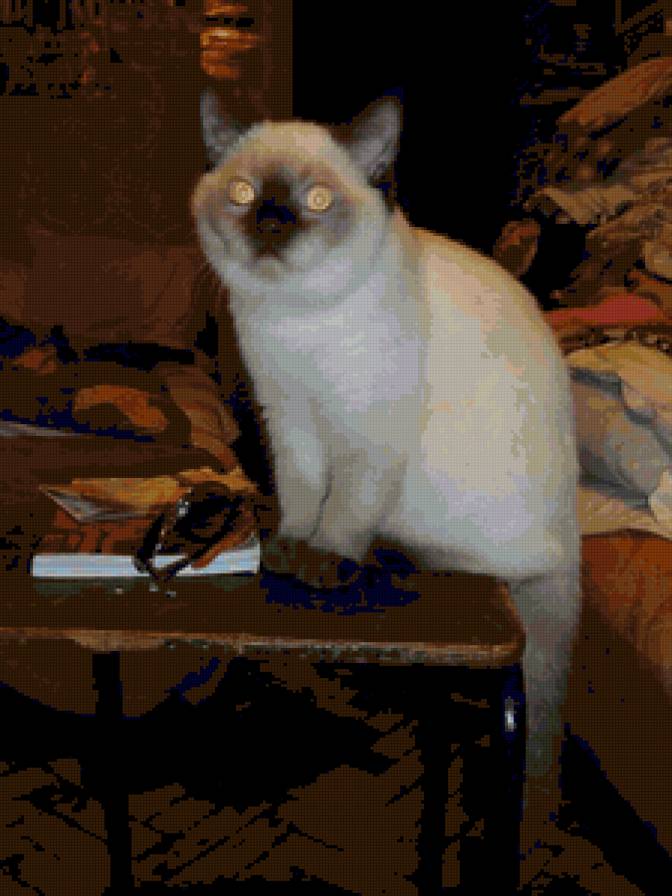 Беник 5 - предпросмотр