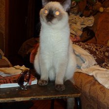 Схема вышивки «Беник 6»