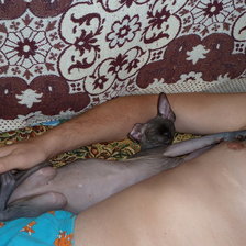 Схема вышивки «Масик 4»