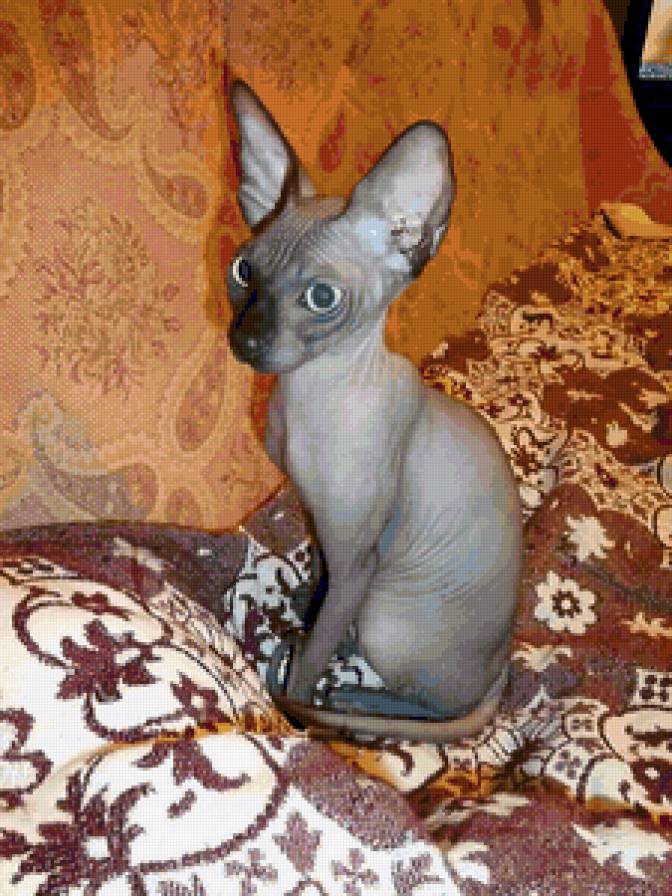 Масик 7 - предпросмотр