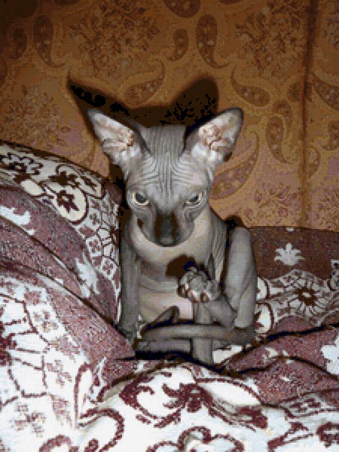 Масик 8 - предпросмотр