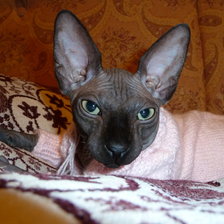 Схема вышивки «Масик 9»