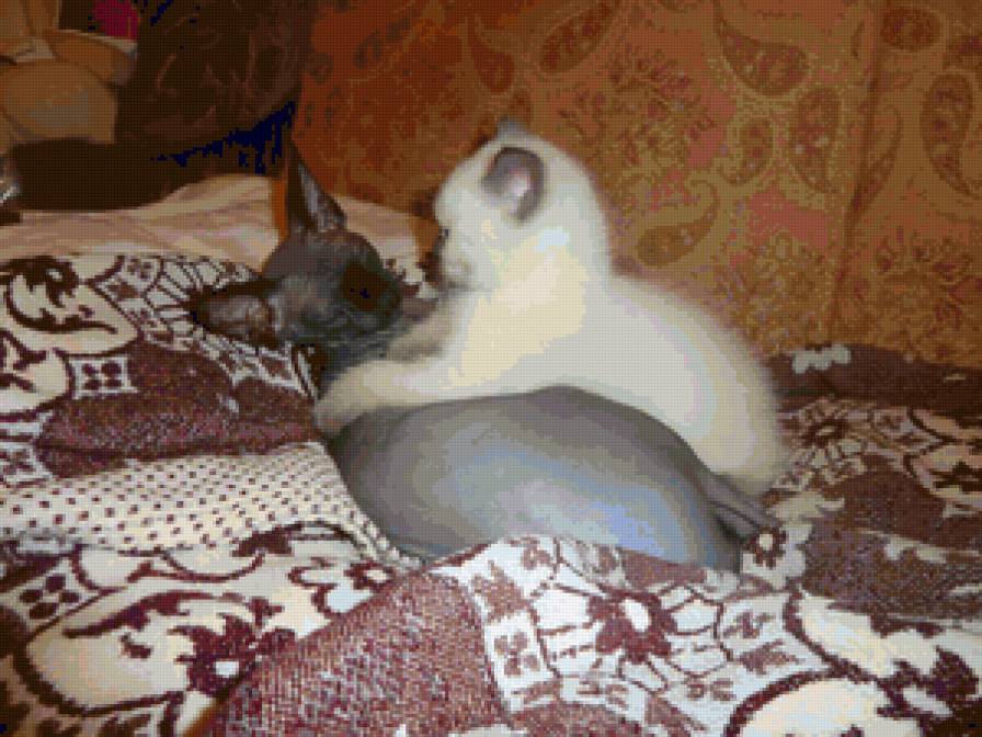 наши дети 2 - предпросмотр