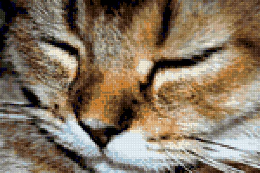 кот - предпросмотр