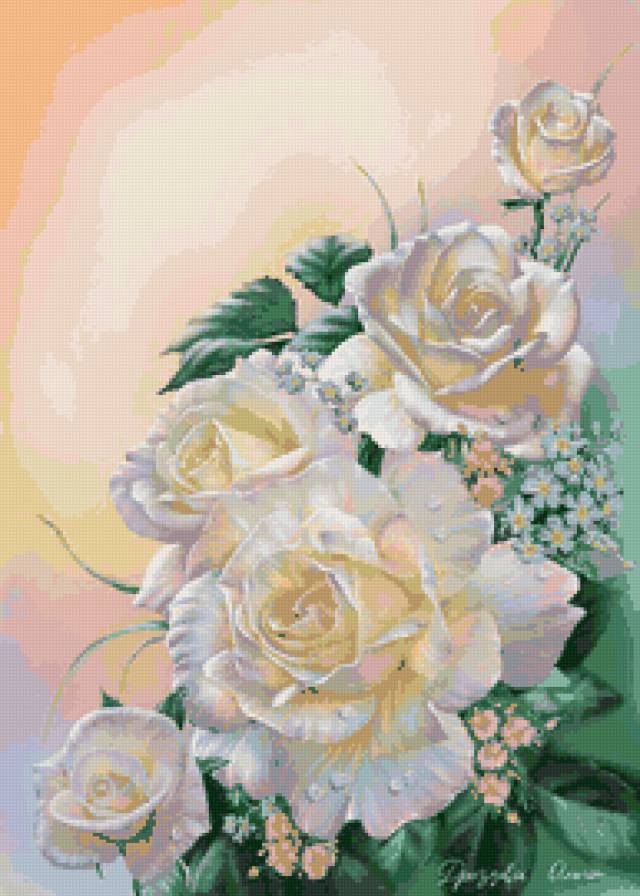 розы белые - роза, розы, цветы - предпросмотр