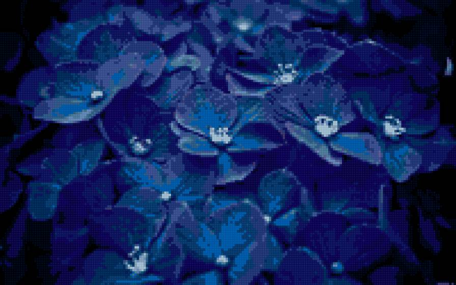синие цветочки - цветы - предпросмотр