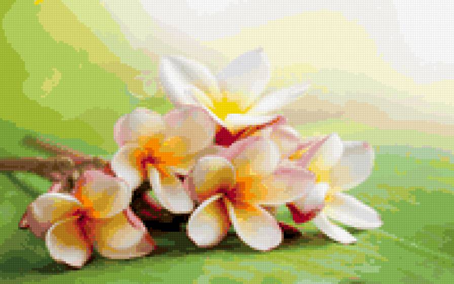 цветы - цветы - предпросмотр