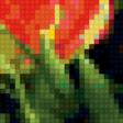 Предпросмотр схемы вышивки «букет тюльпанов» (№72083)